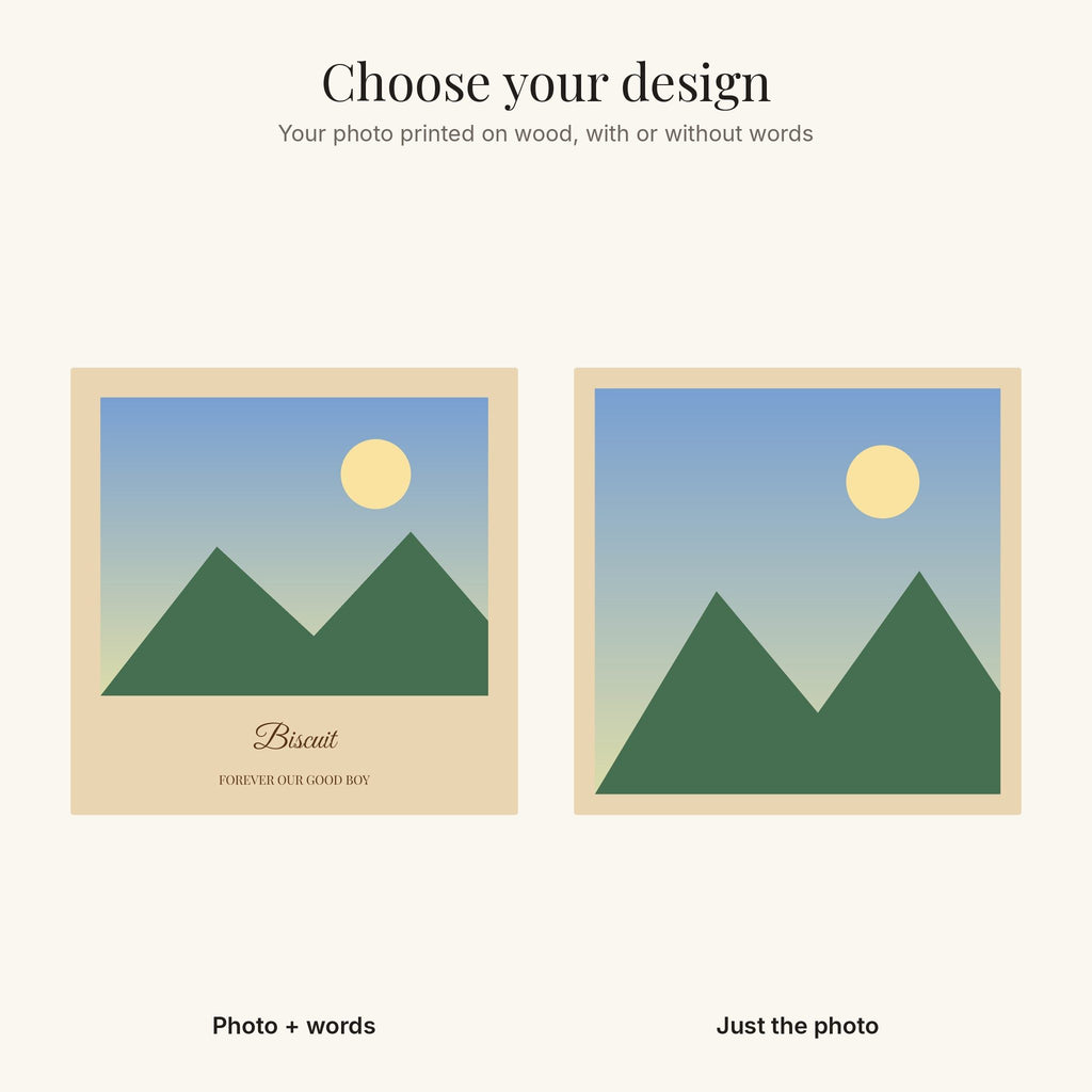 The two photo block designs